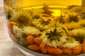 教你如何全额退保图片