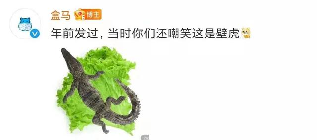 2022ϰ꣬10ˢıӪ㶼֪