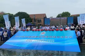 今天，855万尾鱼游入苏州阳澄湖！图片