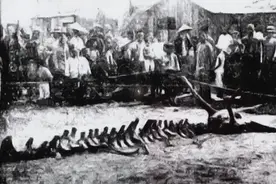 “人间确有真龙在！”几位目击者拍胸脯说,确信自己亲眼看到了龙图片