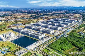 建强副中心 奔向新辉煌｜内乡：奋力建设“华夏生猪产业第一县”图片