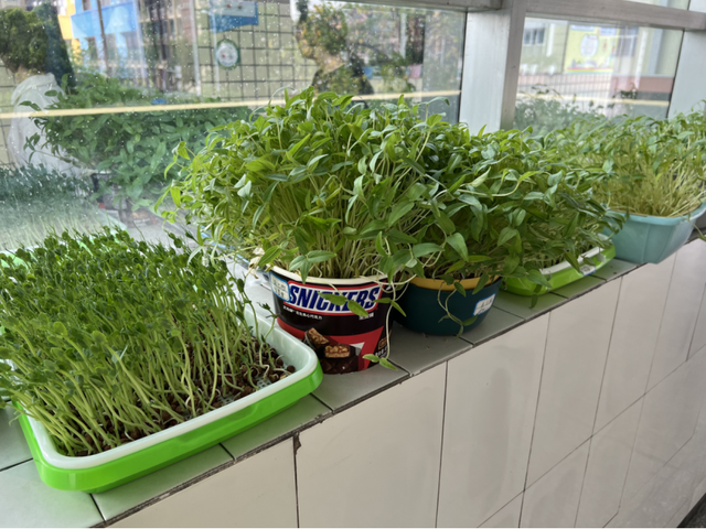 四川省民生研究会新媒体中心-官网