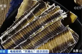 都是钓鱼惹的祸？蚯蚓干暴涨至300每公斤！多地电击式灭绝捕杀图片