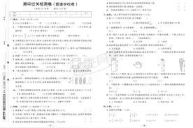 阳光同学语数英各版本期中测试五年级下（含答案）图片