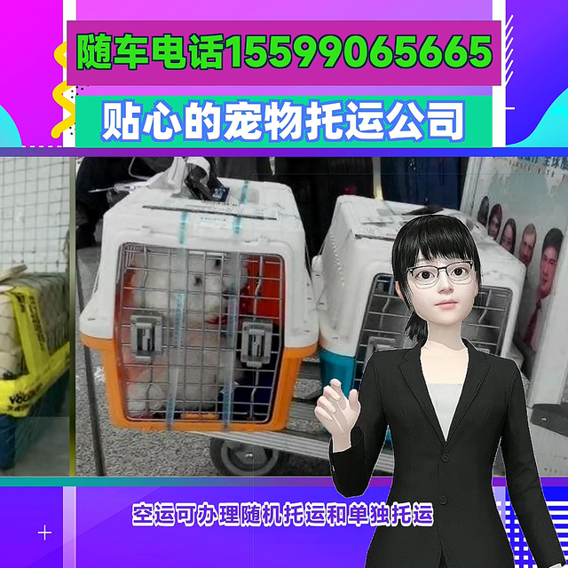 泰州宠物托运价目表=泰州宠物托运托运规则=泰州飞机宠物...