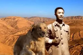 杏林塔知青的朋友——黄狗Yellow图片