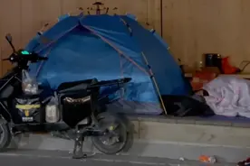 我在上海，住桥底下图片