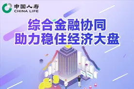 中国人寿继续推出一揽子23项举措助力稳住经济大盘图片
