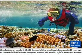 澳男潜水时，意外捡起的闪光石头，上岸一查竟然价值超10万澳元图片