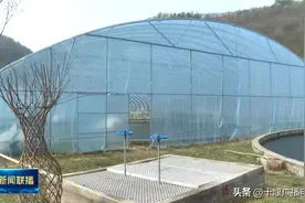 鱼儿养在大棚里，十堰一地“解锁”生态养殖新模式图片