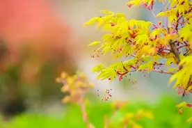 有了亲密关系后，玩“断联”的人，多半是这五种人图片