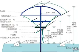 阳光玫瑰葡萄“V”形飞鸟架应用实践及节本增效栽培要点图片