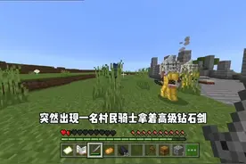 #我的世界烦人的村民图片