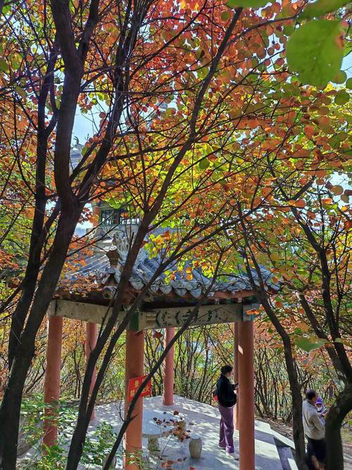 亿年地貌配秋红，陕南襄王沟炸场，此生必去无遗憾！