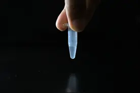 二氧化碳“变身”糖迈出关键一步！中国科学家是怎么实现的？图片