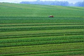 对东北人的想象，东北人都是活雷锋，长得高长得俊，说话又好听图片