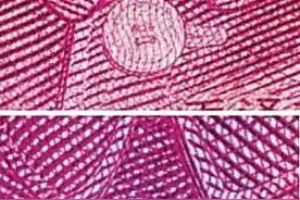 大家都爱人民币，那你知道人民币上的一些冷知识吗？图片