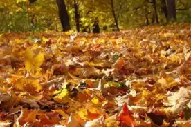 看一眼就忍不住想哭的句子，心情压抑不开心的催泪说说，极度悲伤图片