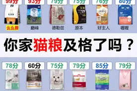 快停止喂猫咪这些猫粮！它们上了猫粮黑榜图片