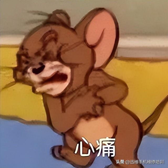 虢怀绿