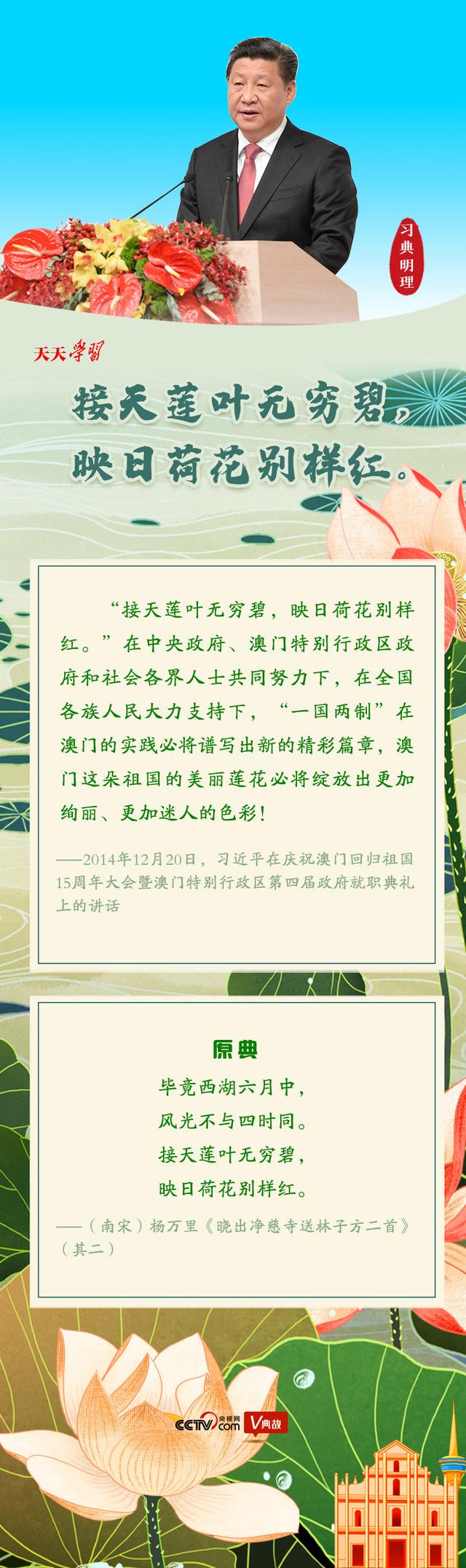 映日荷花别样红全诗是什么（习典明理｜接天莲叶无穷碧 映日荷花别样红）