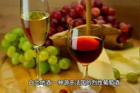 白兰地酒的等级分类：轩尼诗和马爹利，你知道吗？图片