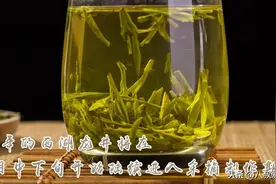 为什么99%的人都买不到正宗西湖龙井？一文读懂西湖龙井图片