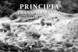 最难的方程和最大的谜团图片