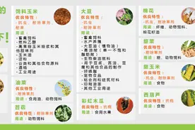 转基因食品的二三事图片