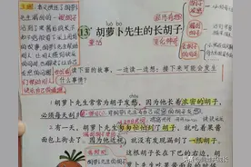 三上语文：第13课《胡萝卜先生的长胡子》课堂笔记~详细且用心图片