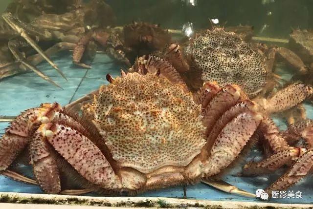 40头的花胶是几级 2025年花胶40头是什么意思?