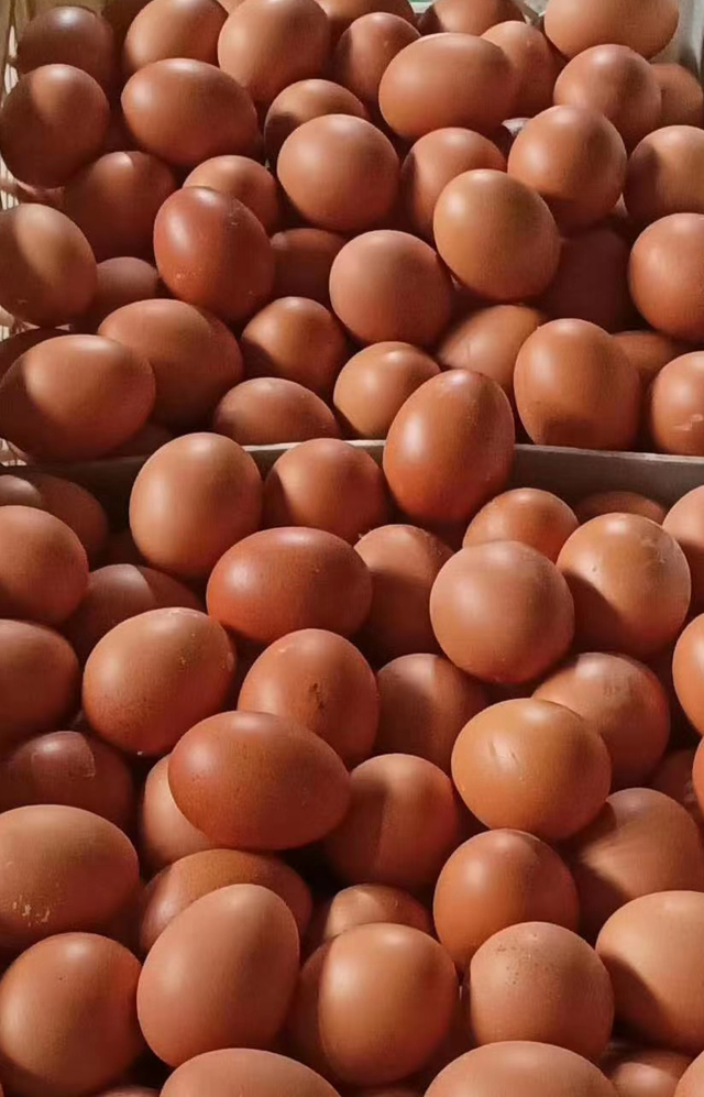 胳膊鸡皮肤发黑