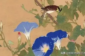 浪迹江湖一布帆，红尘看破是非间图片