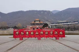 冬季游盘山，寺院的一群猫拦路讨要食物图片