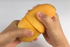 吃剩的“芒果核”，埋进花盆里，长出“发财树”图片