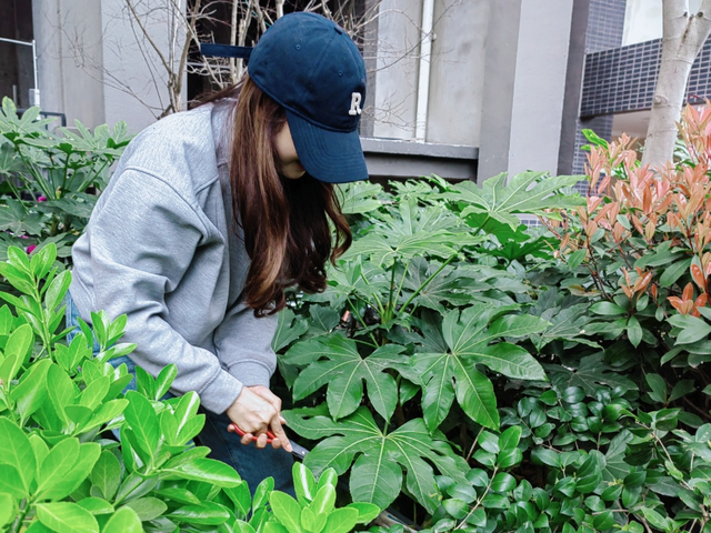 四川省民生研究会新媒体中心-官网