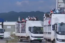 ​淘汰电动自行车去哪了？条形码记者带你直击“谜底”图片