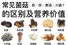 常见菌菇类区别营养价值及做法 ​​​图片