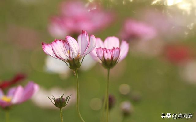 5月20日适合情侣用的个性签名