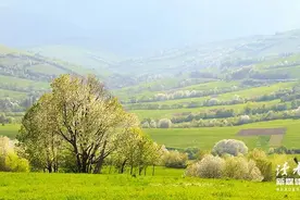 永远不要活在别人的嘴里图片