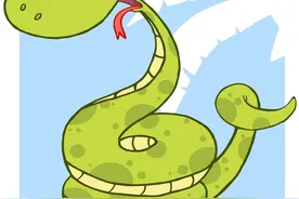 不同的蛇交配会生出什么蛇图片