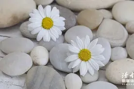 千万不要羡慕朋友圈里的生活图片