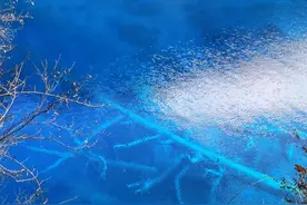 冬日九寨沟|一汪碧色，醉人心扉图片