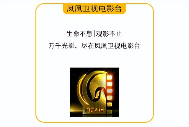 《朋友》：感动全球的真实故事改编，人生路上，“友”你真好