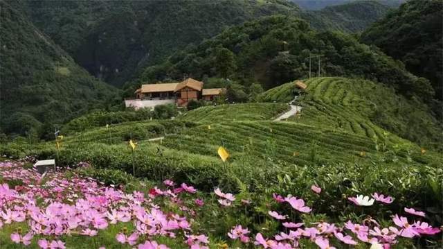 四川省民生研究会新媒体中心-官网