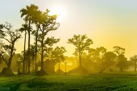 高中数学：超全的知识点总结，预习、复习都能用图片