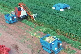 不见农机手　“铁牛”田间跑图片