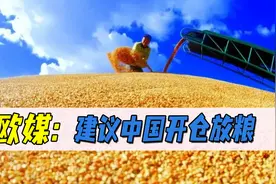 脸也太大了！欧媒建议我国开仓放粮，因中国囤了世界50%的粮食？图片