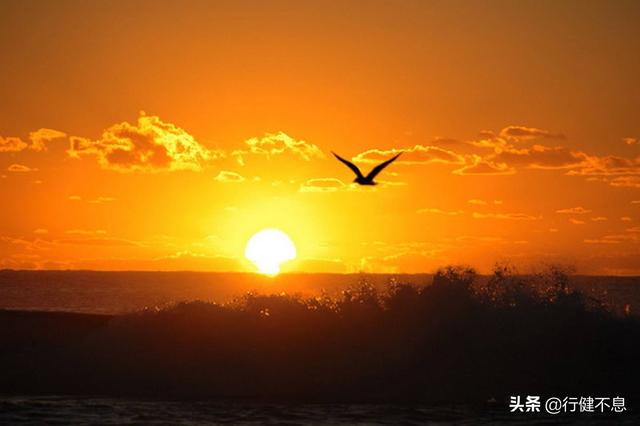 长风破浪会有时，直挂云帆济沧海：十二首励志诗，给您启迪和力量