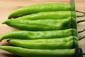 青椒用这个方法做，连吃3大碗米饭，不吃撑停不下嘴，我家经常吃图片